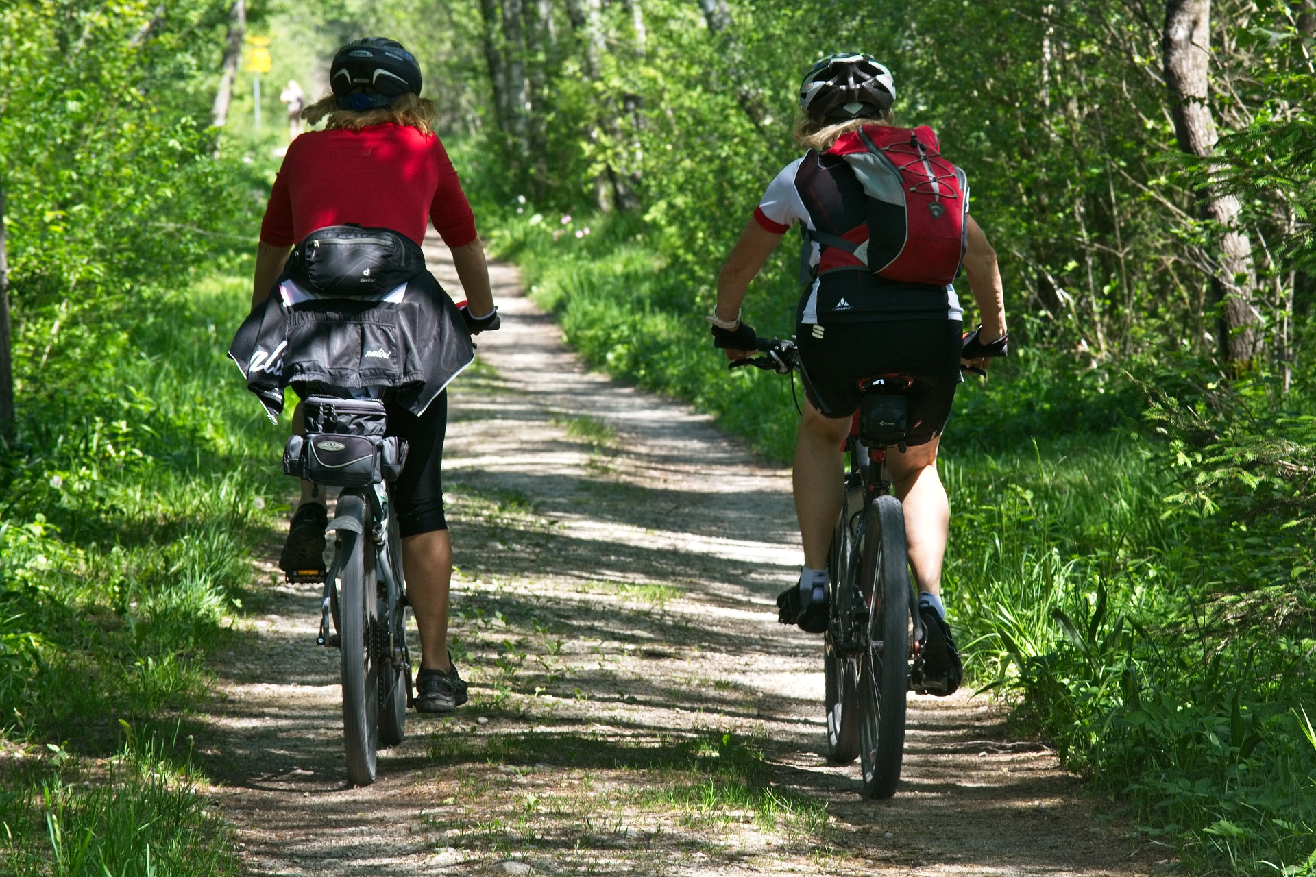 Mountainbiken und Radfahren im Böhmerwald - Hotel INNs HOLZ