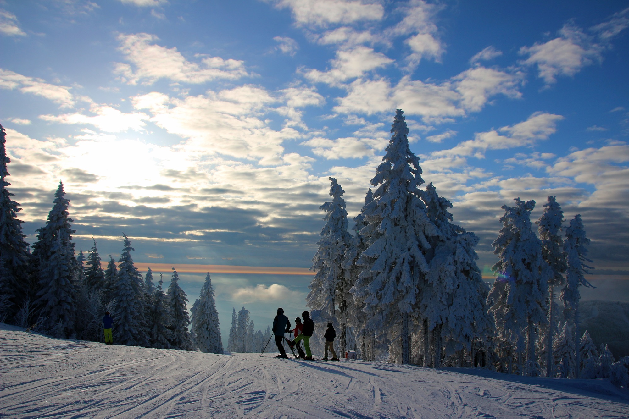 Skifahren am Hochficht - INNs HOLZ