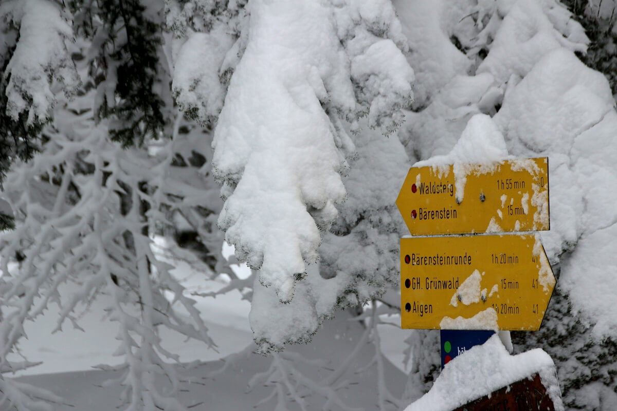 Winterwandern im Böhmerwald - INNs HOLZ