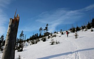 Skitour durch den verschneiten Böhmerwald - INNs HOLZ