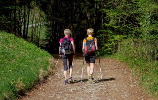 Nordic Walking ist ideal für Anfänger - INNs HOLZ