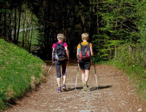 Nordic Walking – Ein Sport für Anfänger und Fortgeschrittene