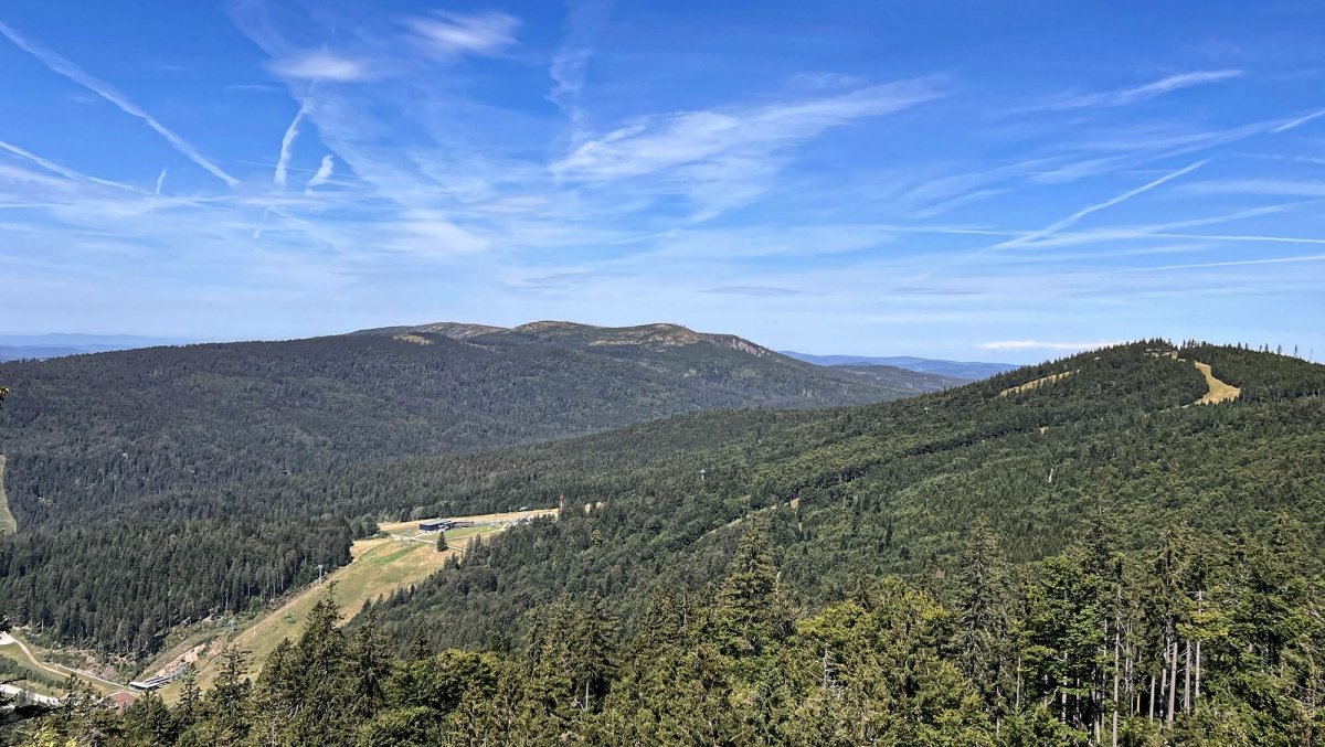 INNs HOLZ Nordic Walking Strecke im Mühlviertel