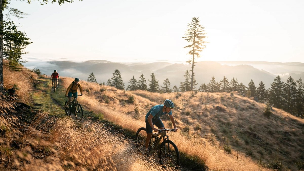INNs HOLZ Mountainbiken im Mühlviertel