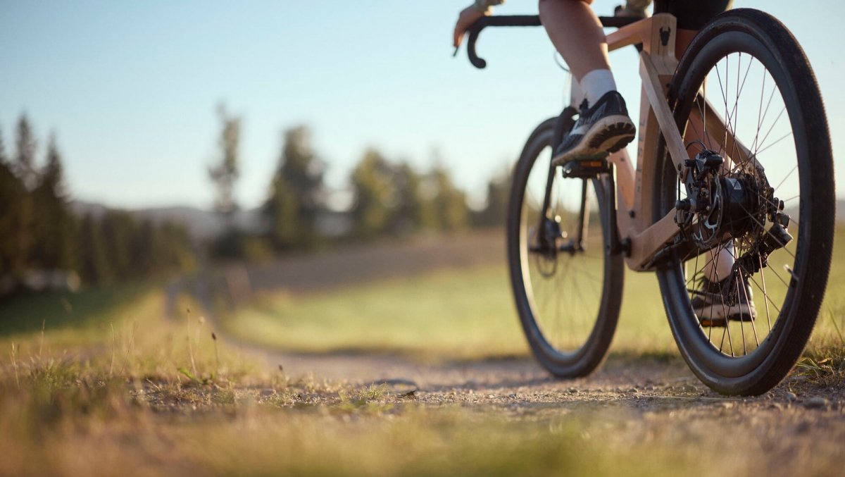 INNs HOLZ Mountainbiken im Mühlviertel