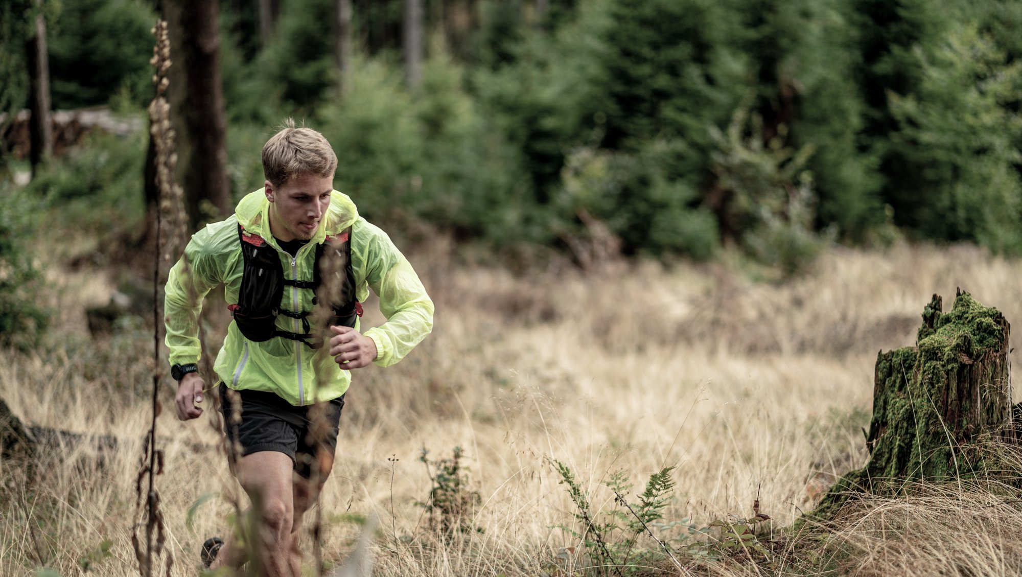 INNs HOLZ Trailrunning im Mühlviertel