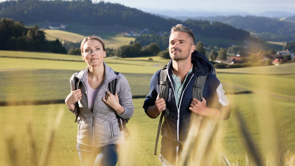 INNs HOLZ Wandern im Mühlviertel