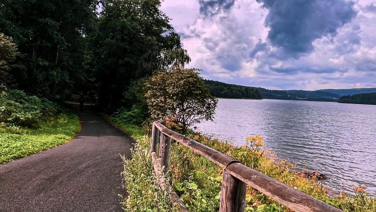 INNs HOLZ Radfahren am Lipno-Stausee