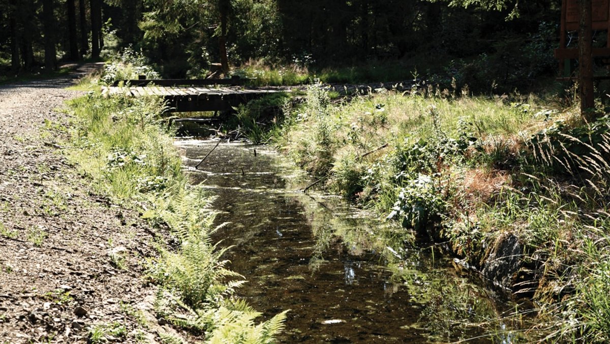 INNs HOLZ Radfahren im Mühlviertel