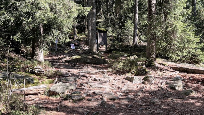 INNs HOLZ Sommer im Mühlviertel Laufen Bärenstein