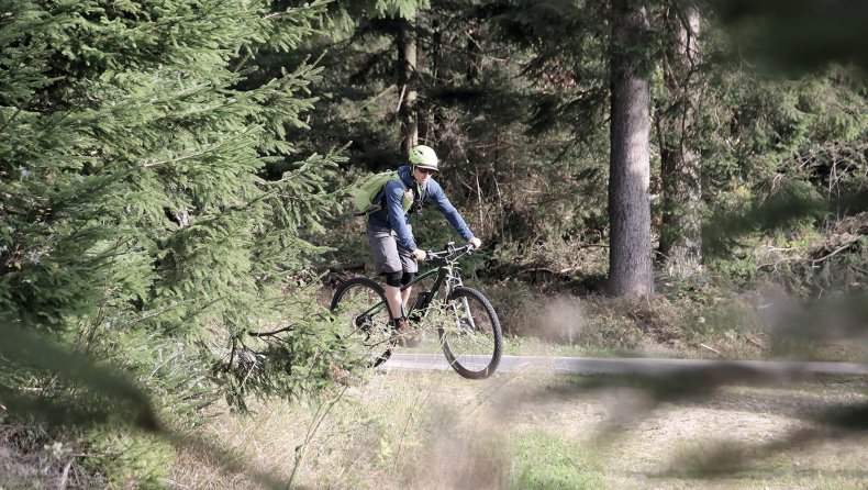 INNs HOLZ Hotel und Chaletdorf im Mühlviertel im Paradies für Radfahrer