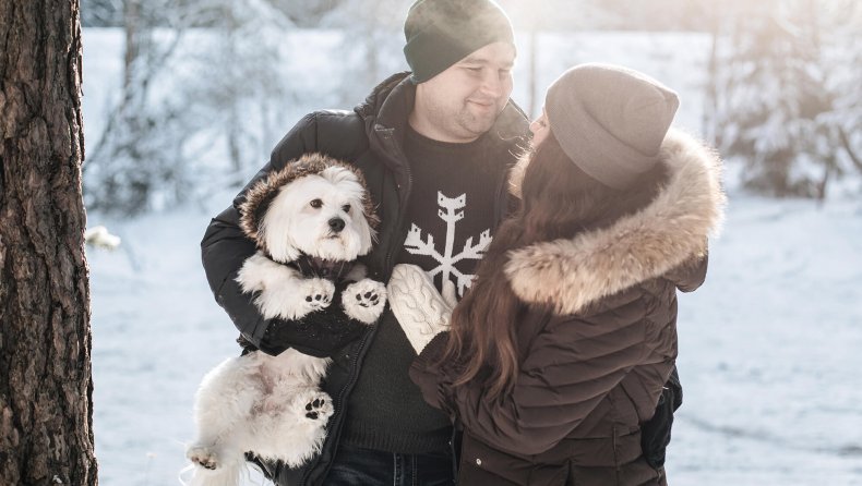 Winterurlaub mit Hund im INNs HOLZ