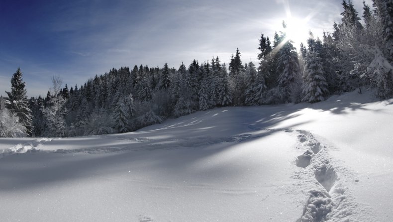 Hotel mit Hund im Mühlviertel - INNs HOLZ